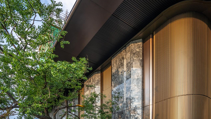 合肥千万级封面豪宅「伟星天元」丨中国合肥丨顺景园林,DIA 丹健国际-37