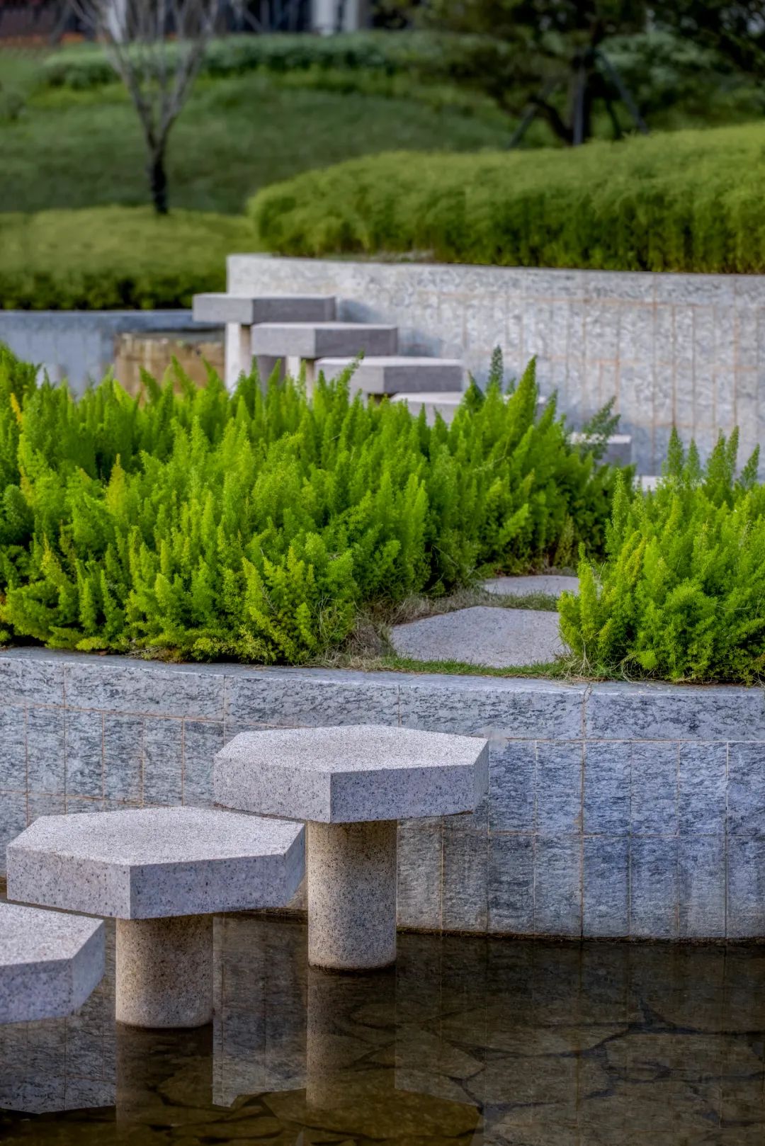 隐入山水脉络的生态校园 · 深圳南科大景观设计丨中国深圳丨湖北城隆市政园林设计研究有限公司-92