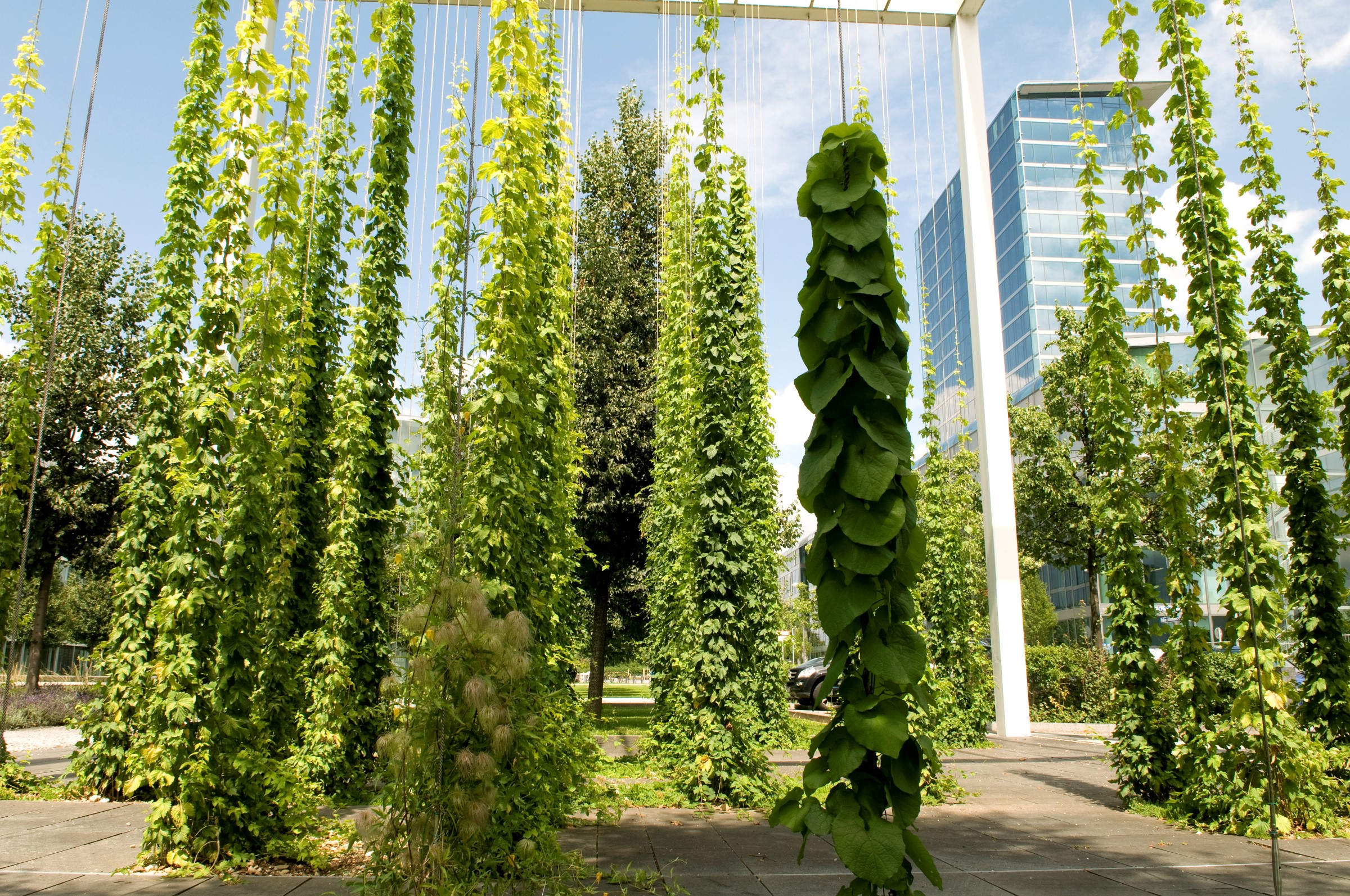 慕尼黑中央公园 | 高山元素融入城市景观-19