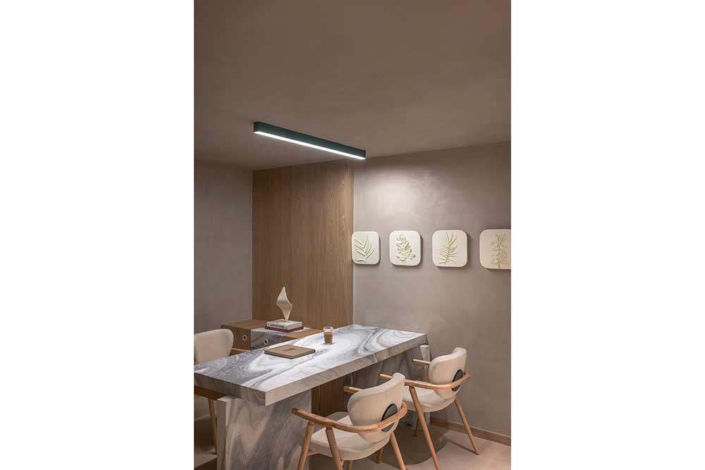 叶线2024年1月-10