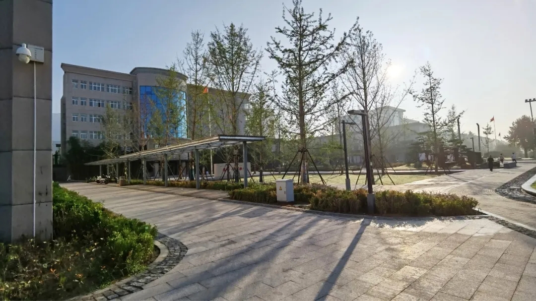 登封市少林大道景观提升改造-14