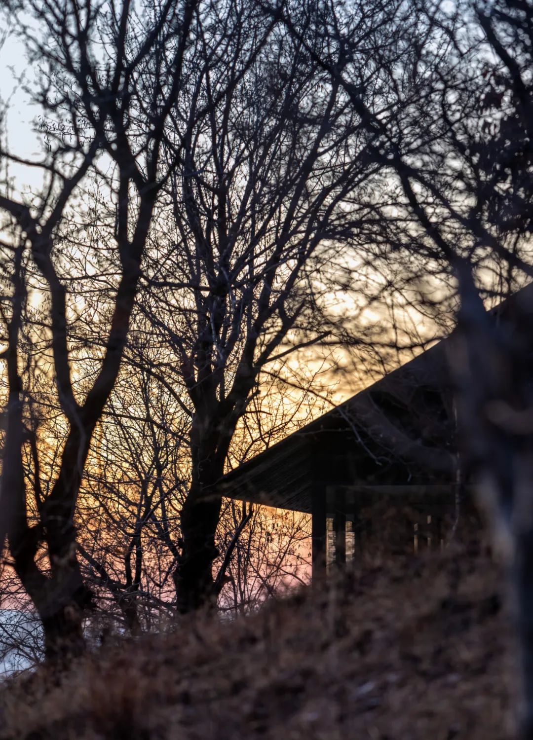 树下·山中木屋丨中国洛阳丨二合永设计-49