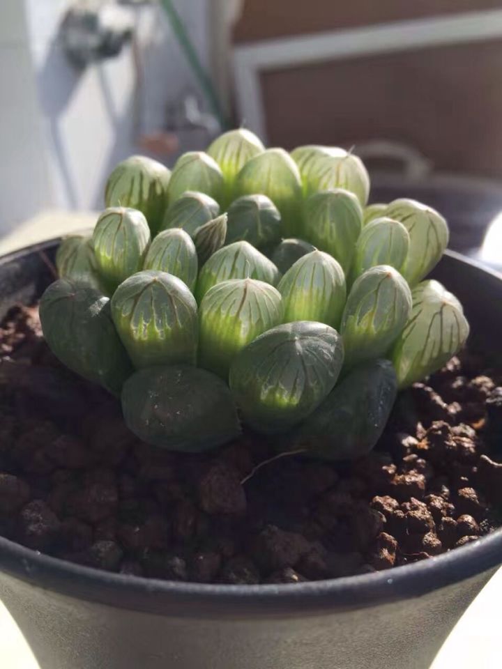 牡丹里 90㎡美式风格装修丨尚居装饰-13