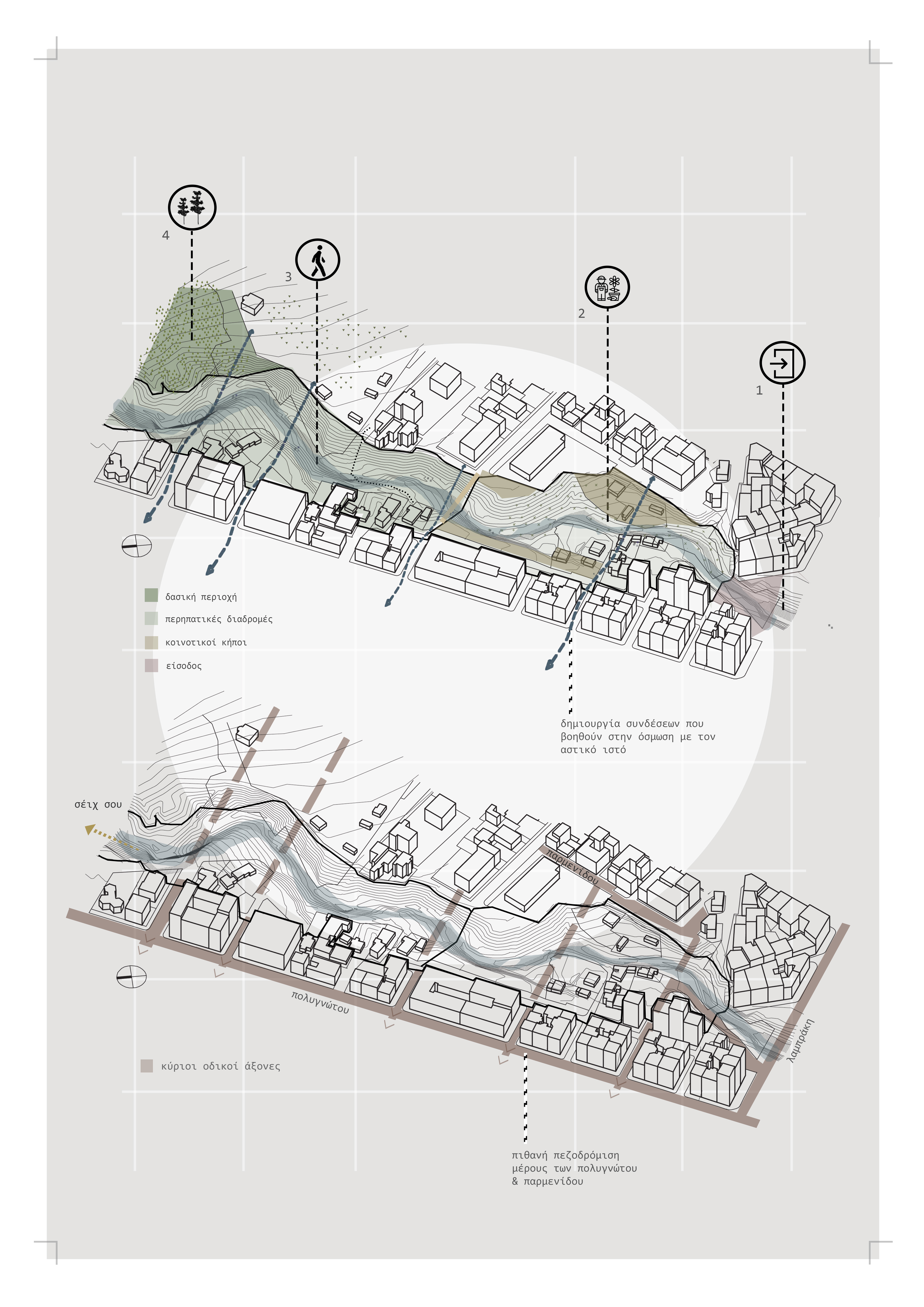 THE CIRCLE OF LIFE--5