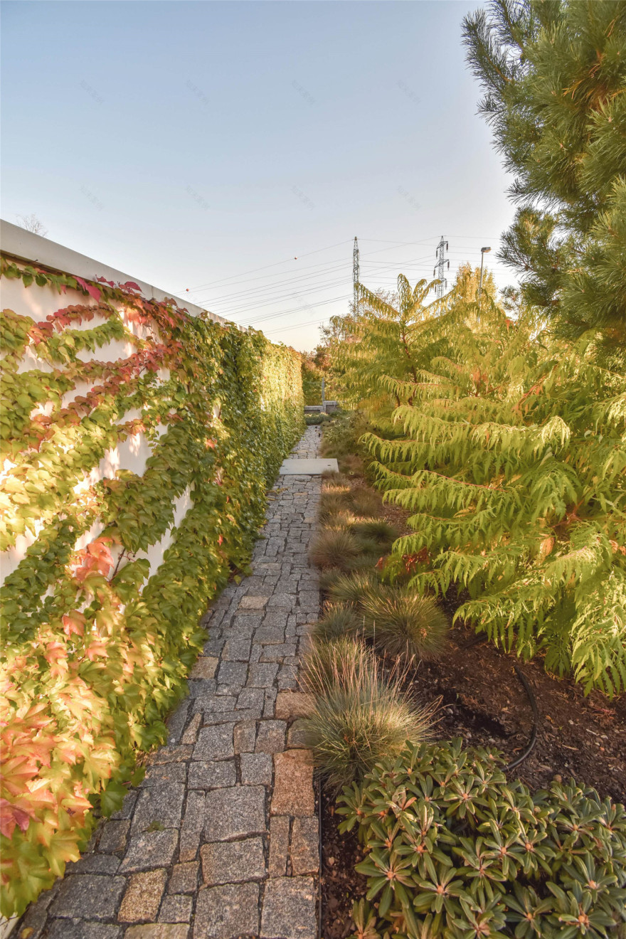 捷克波浪花园住宅庭院景观丨Partero-24