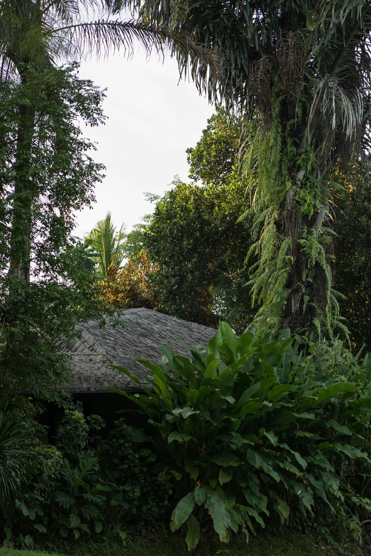 Yayasan Bali Purnati私密居所项目丨印度丨秘鲁RF Studio-25