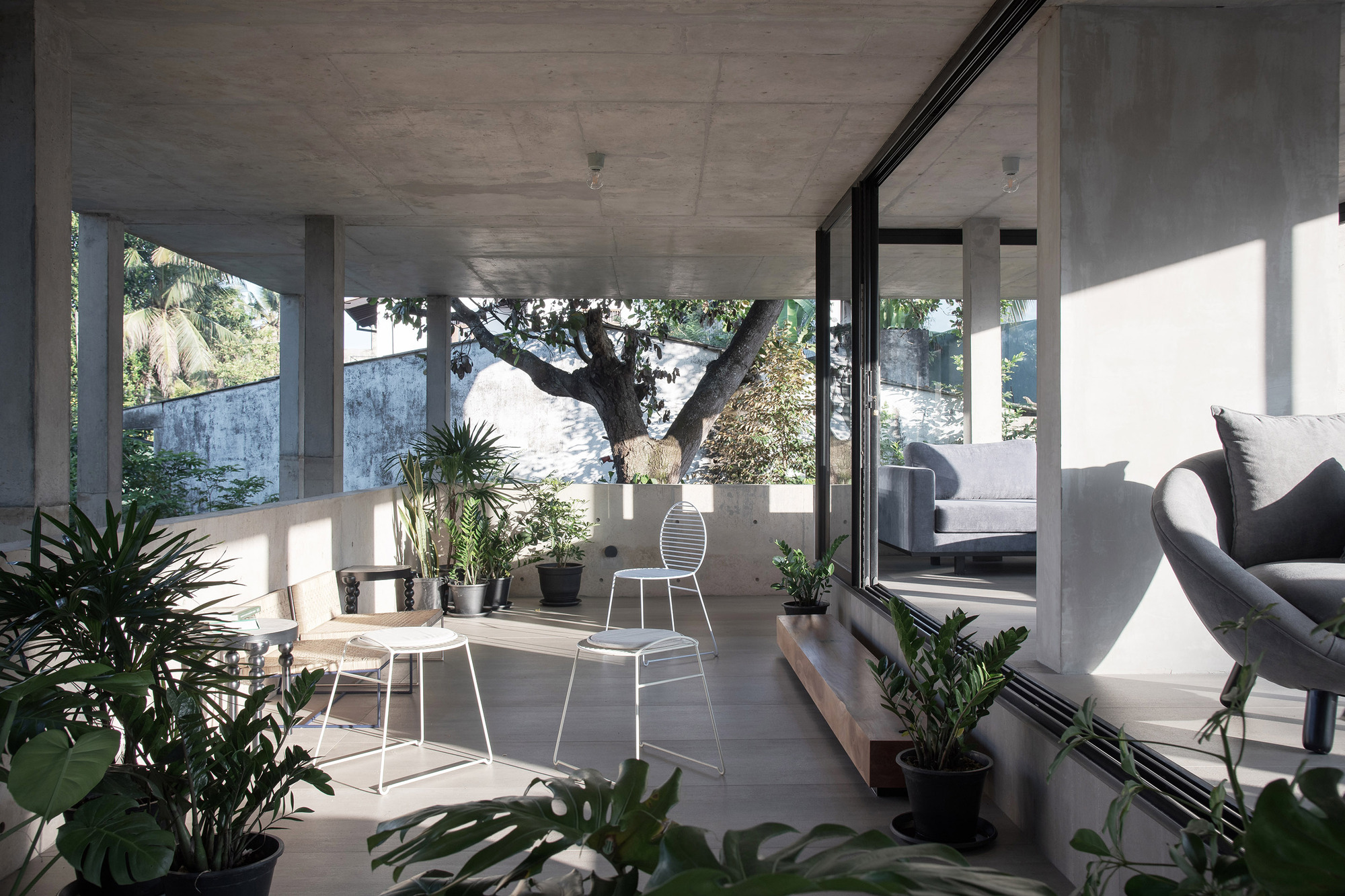 大树小植物屋丨Read Studio-10