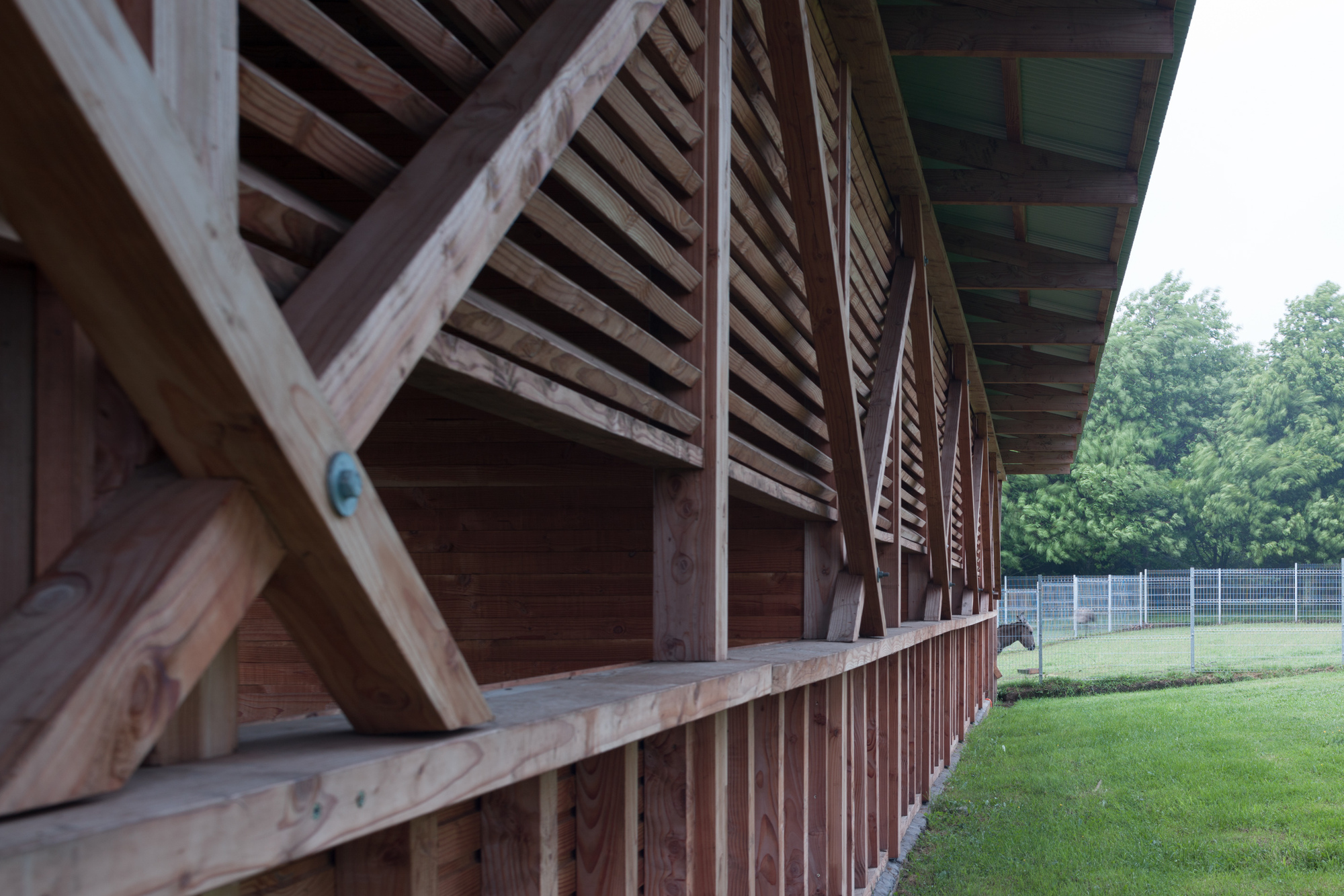 阿维亚里和稳定公园埃尔恩坎托丨智利丨DRAA-33