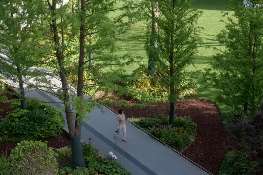 上海金地·虹桥峯汇丨中国上海丨景观设计为上海朗道景观规划设计有限公司等-28