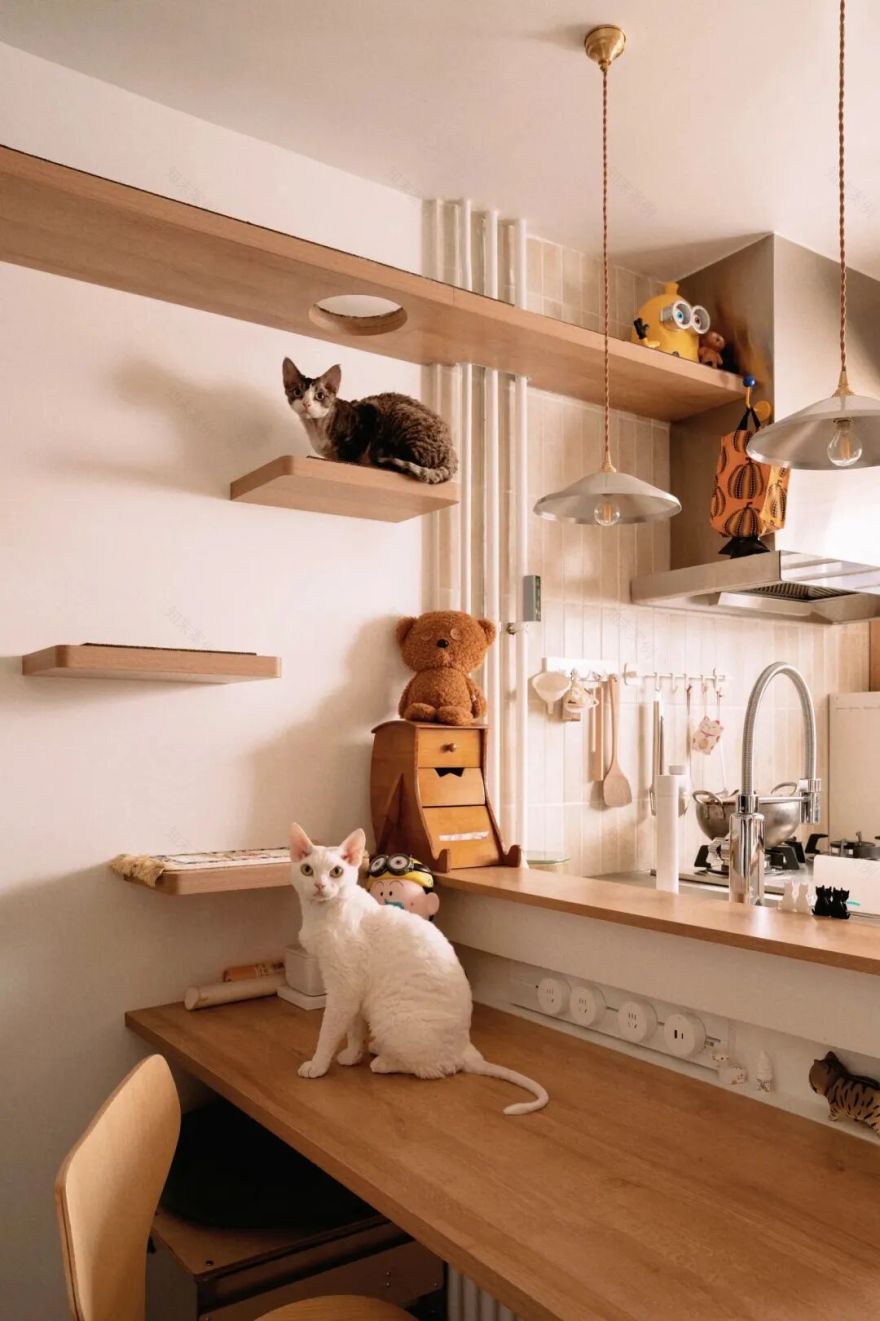 44㎡的治愈宇宙:一人四猫的共生乐园,小户型里的极致温柔-48