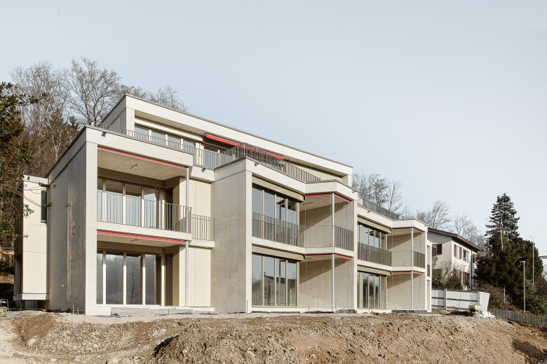 太阳蝶住宅丨瑞士丨KNTXT Architekten-0