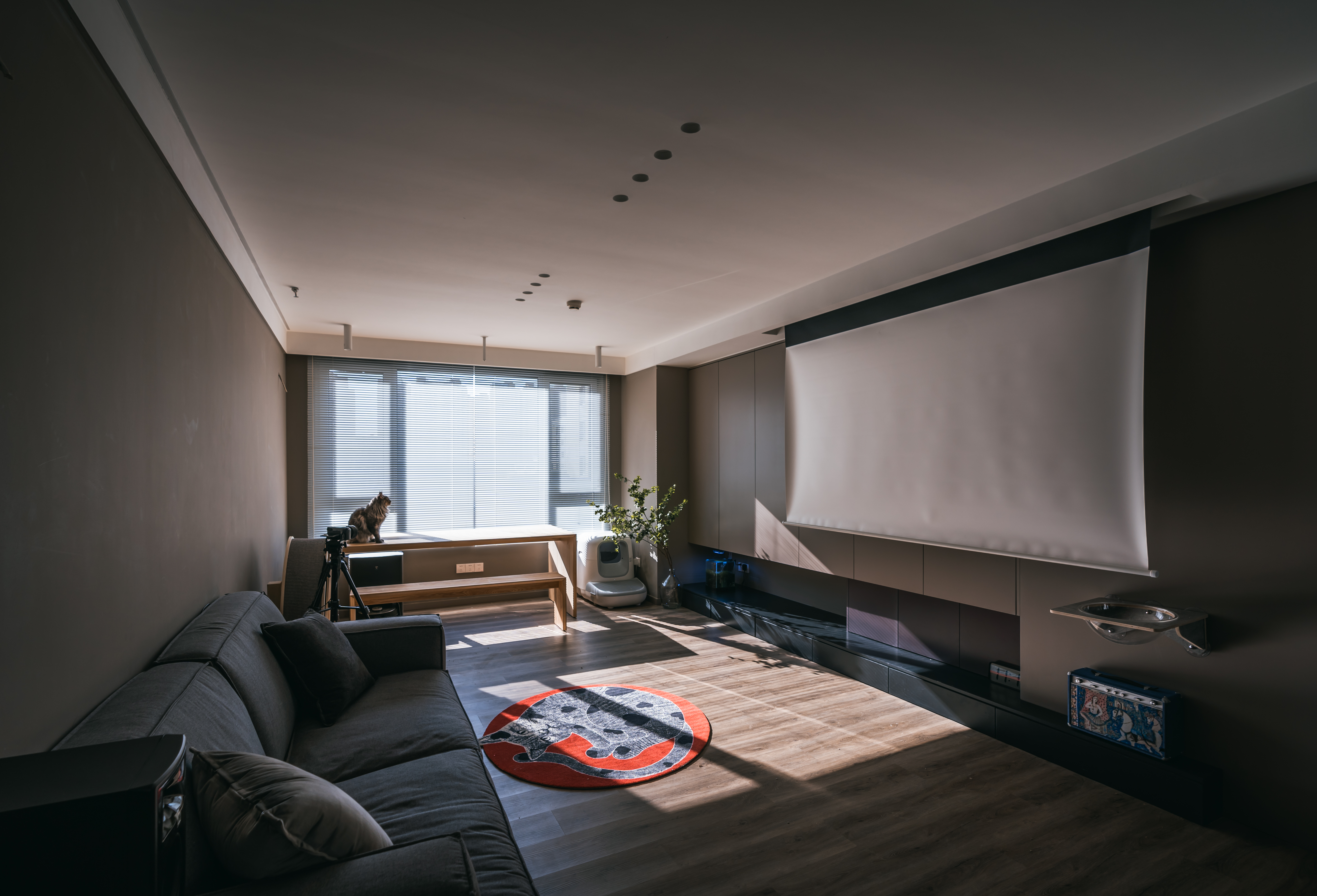 河北燕郊 / 三居室改一居当代年轻人的生活方式-6