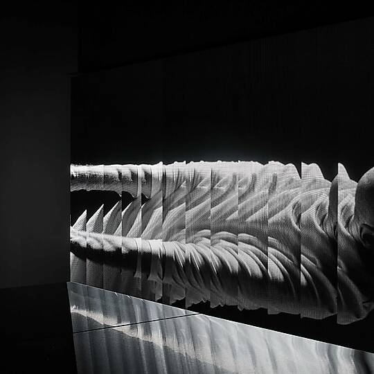 Maddox Fit by Hecker Guthrie | Australian Interior Design Awards-0