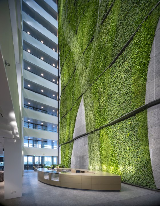 European Medicines Agency (EMA) -7