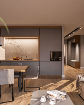 Katowice公寓3D效果图项目丨波兰卡托维兹丨Adam Klimas