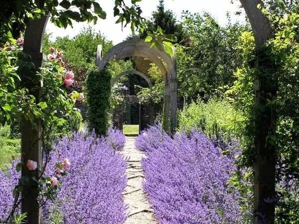 海格罗夫庄园 | 查尔斯王子的世外桃源-167