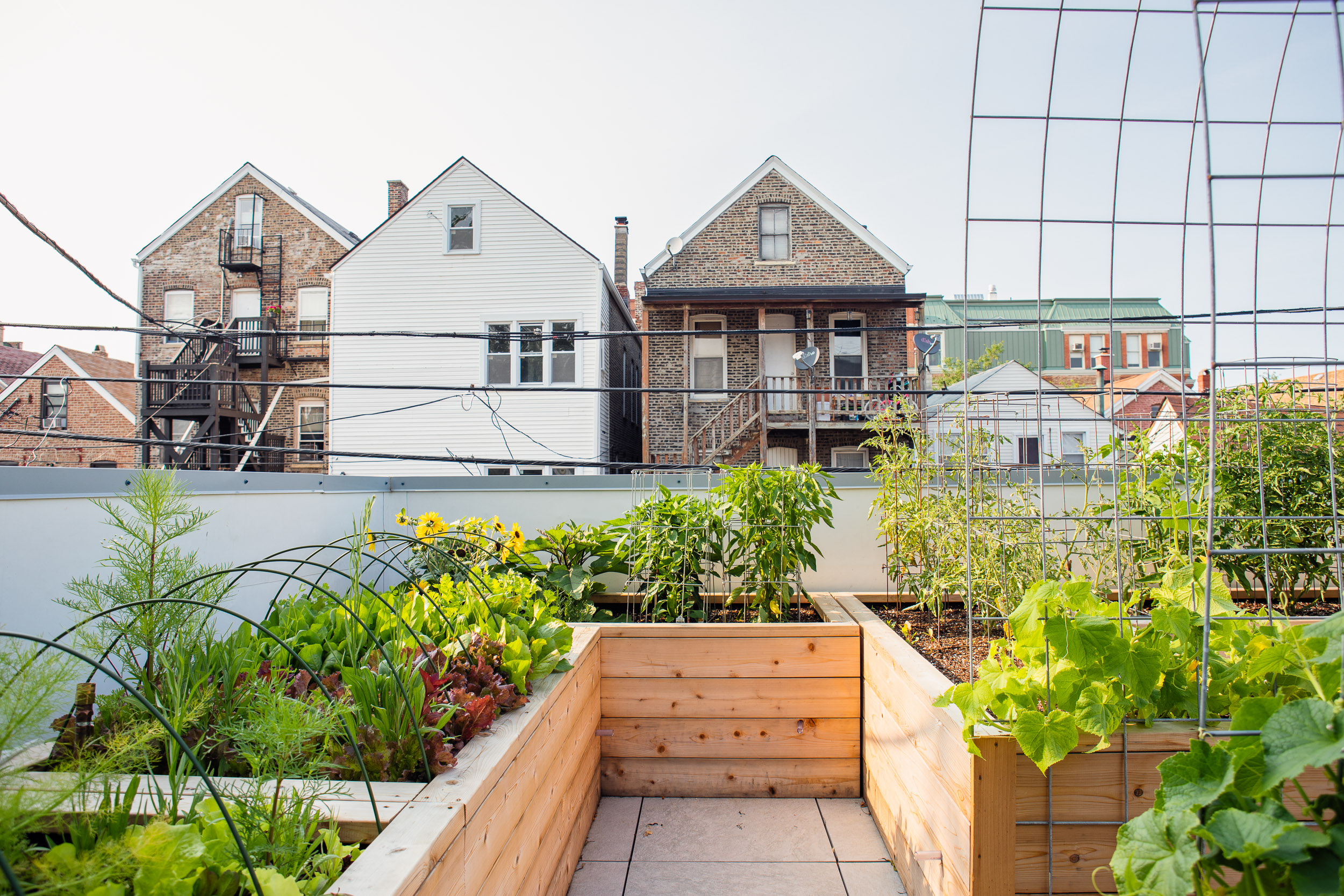 LEED 多代同堂住宅丨美国芝加哥丨Canopy,A + D-21