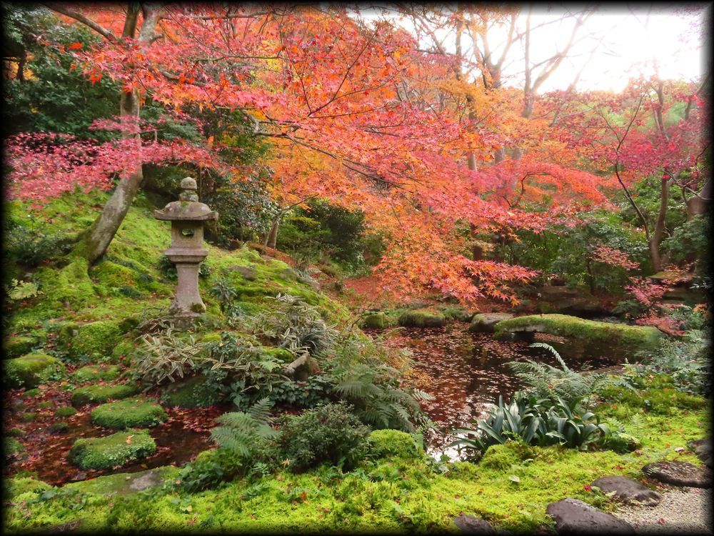 瑠璃光院（旧高级旅馆「喜鶴亭」）丨日本京都-43