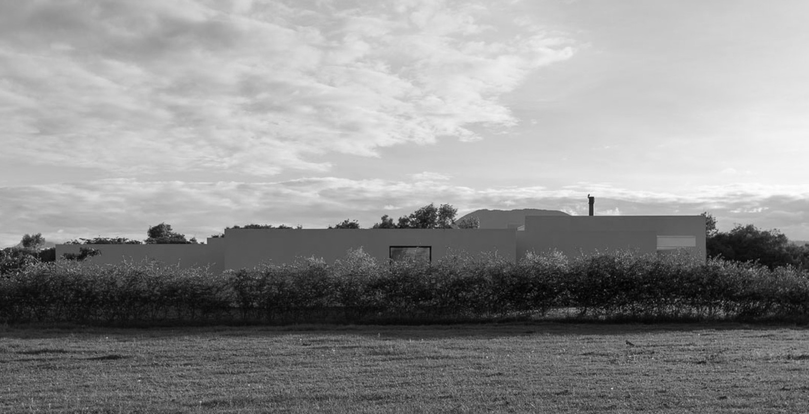 40 岁卡萨 · 与自然共生的单一层次住宅-45