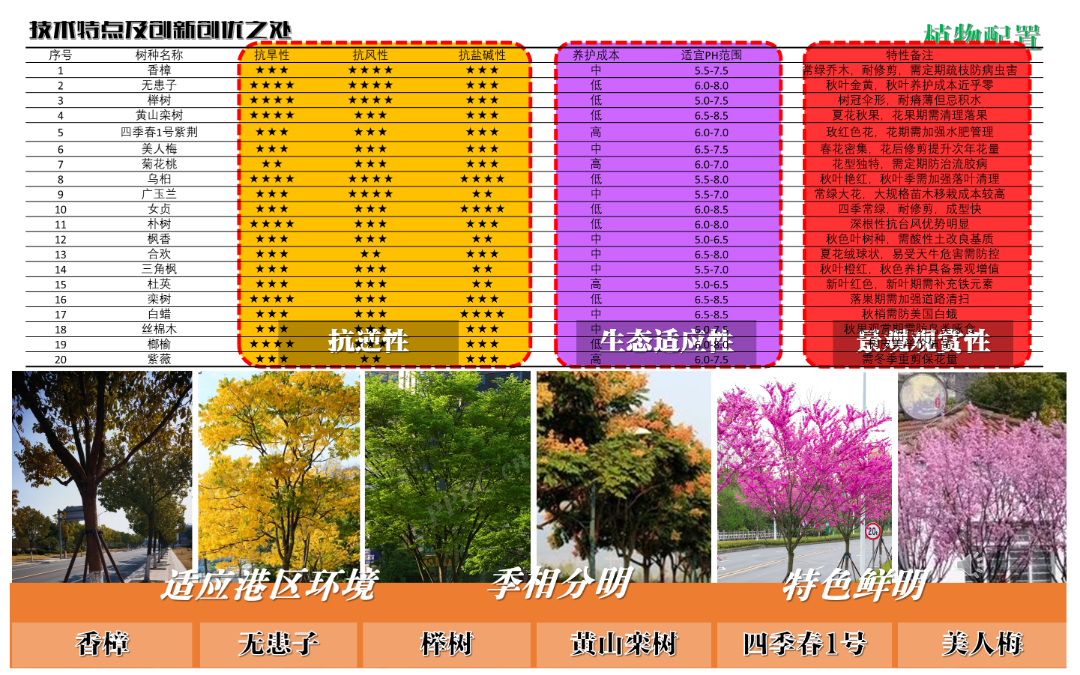 2024年度院优项目|嘉兴港区中央活力区道路景观设计实践——滨海盐碱地生态修复与城市美学融合的典范之作-23