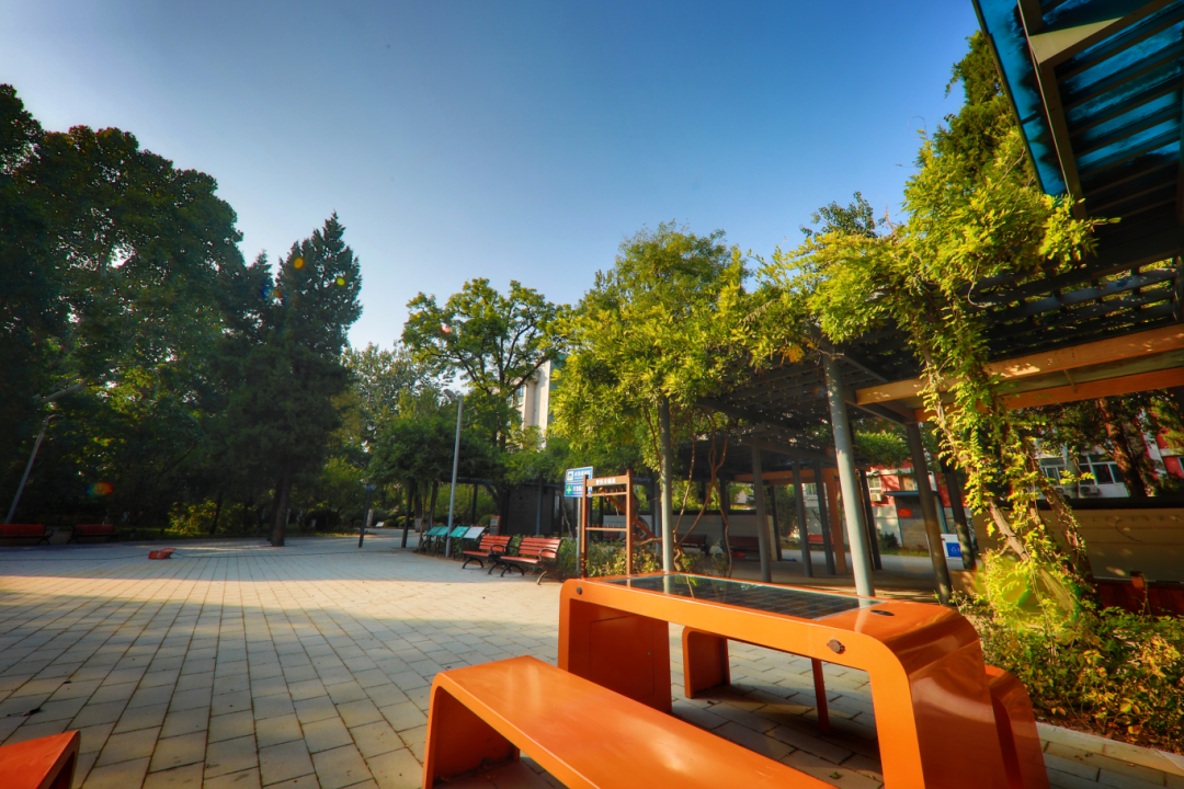 南馆公园及周边改造提升项目丨中国北京丨北林地景-27