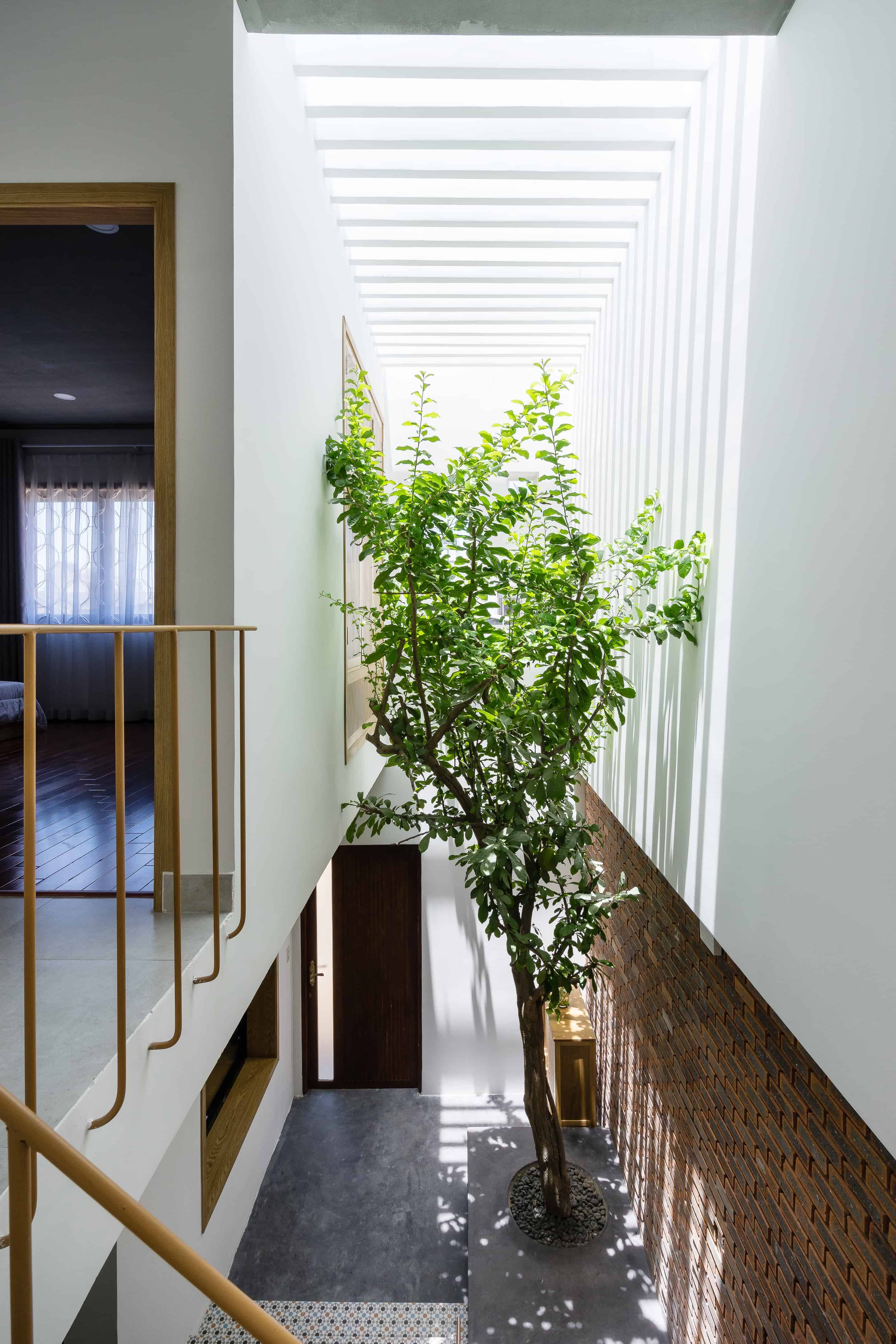 绿意盎然，连接自然的 7×7 之家-18