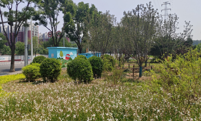 石园花街——顺义区首个花园式示范街区-75