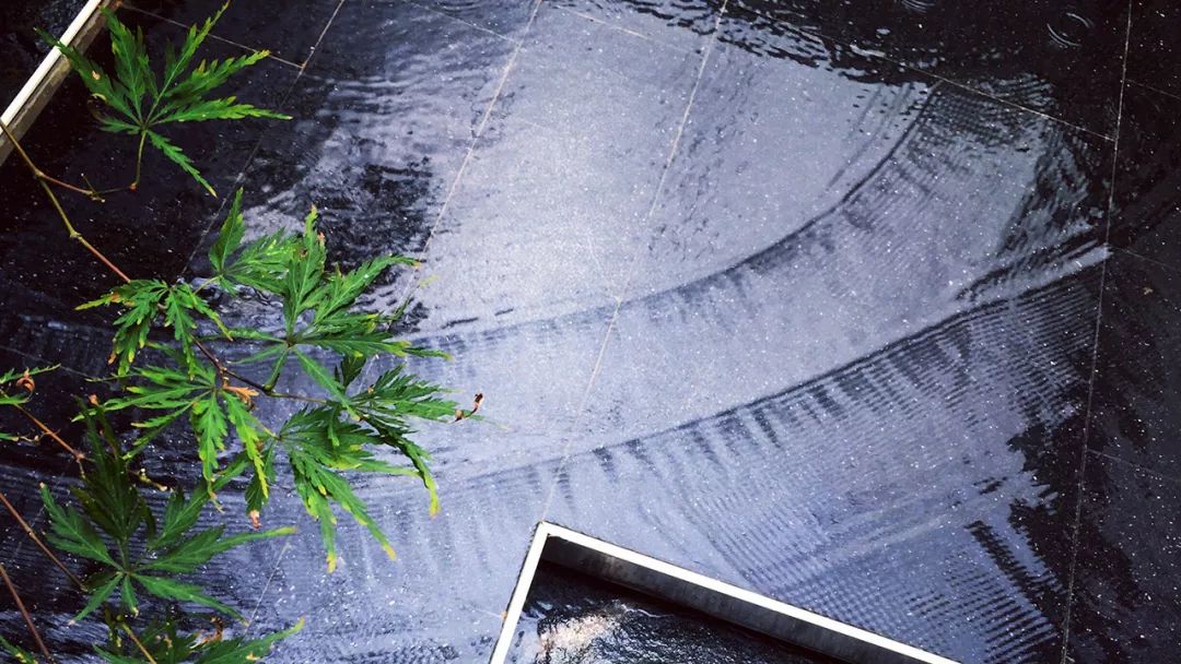 凤起花山 栖居乐鸣|绿城·武汉凤起乐鸣-55