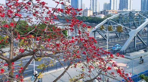 花漾广州 · 四季繁花的花城时空丨中国广州丨GZPI景观与旅游规划设计所-34