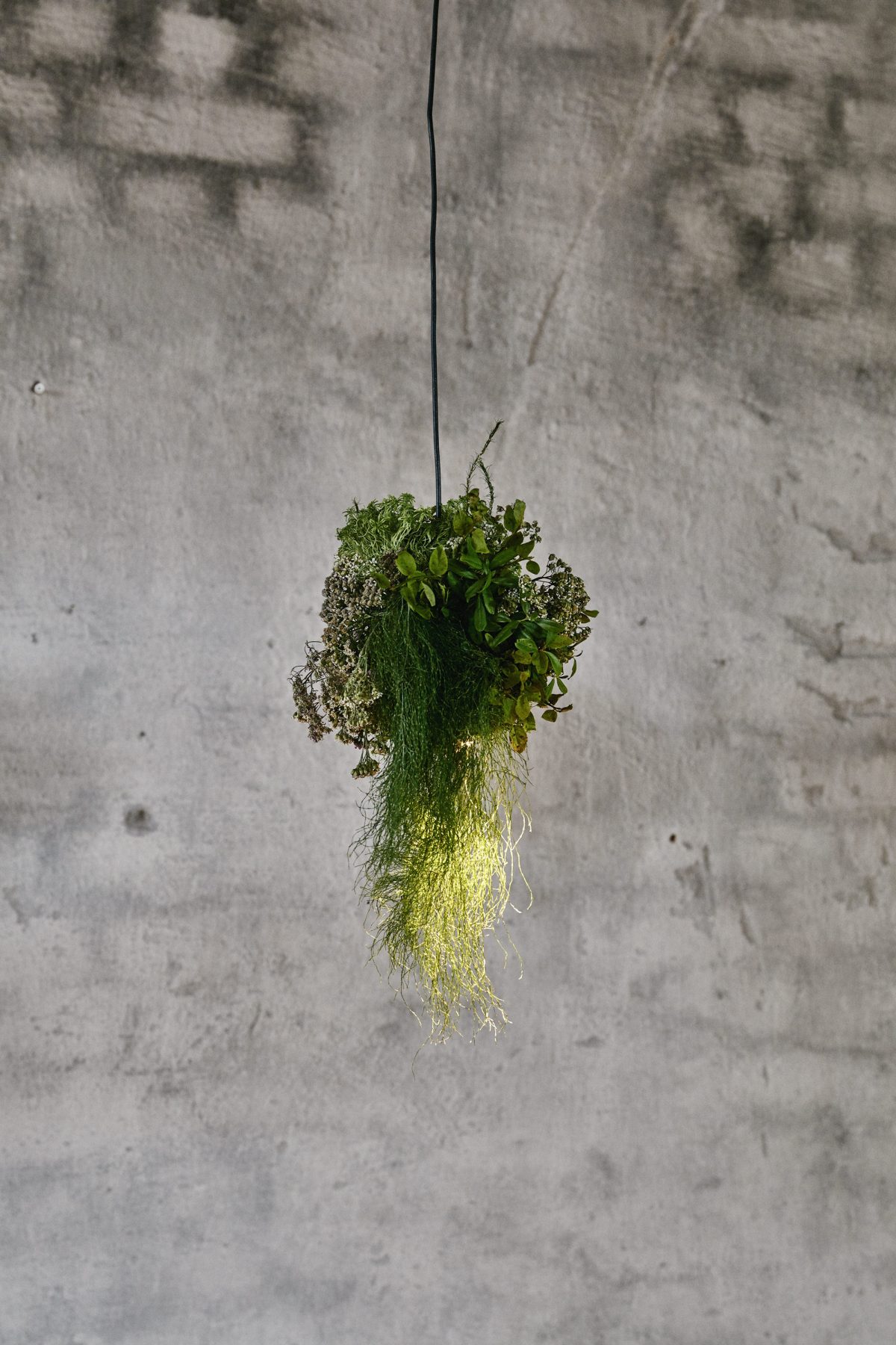 Wild Herb Cafe - Studio Joanna Laajisto-7