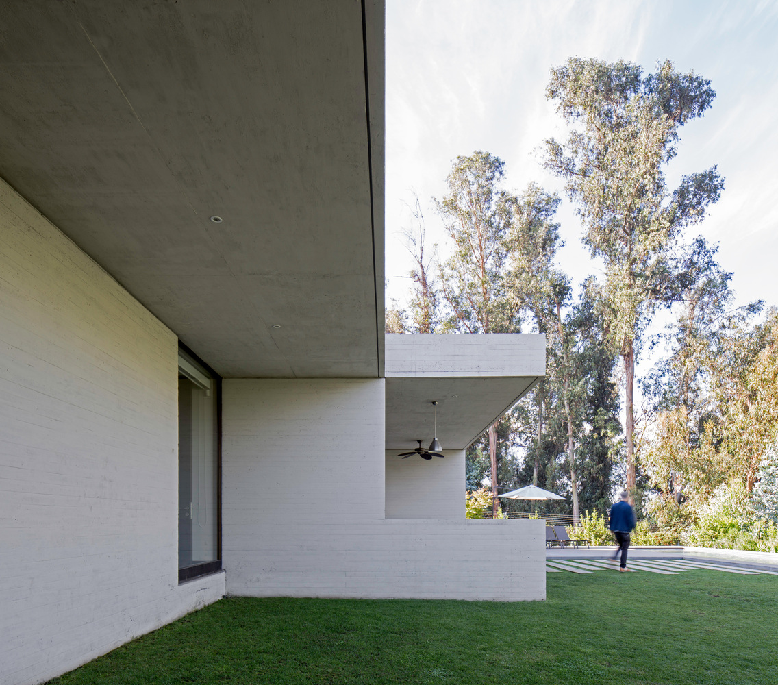 智利森林中的光影之家-17