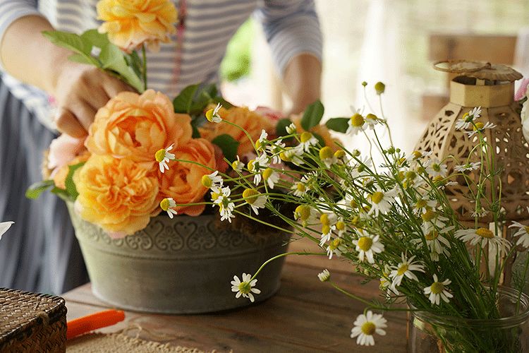 辞去工作，历时7个月，他们过上了有院子，有诗和远方的生活-106