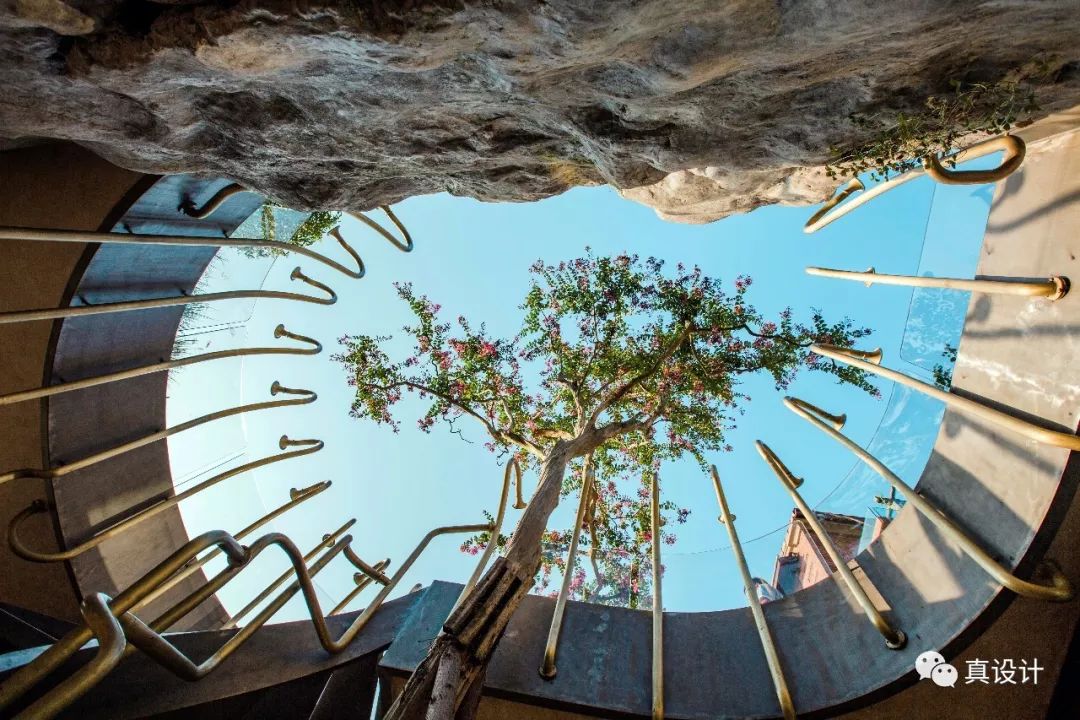 隐于市的百年个性花园——真味花园-55