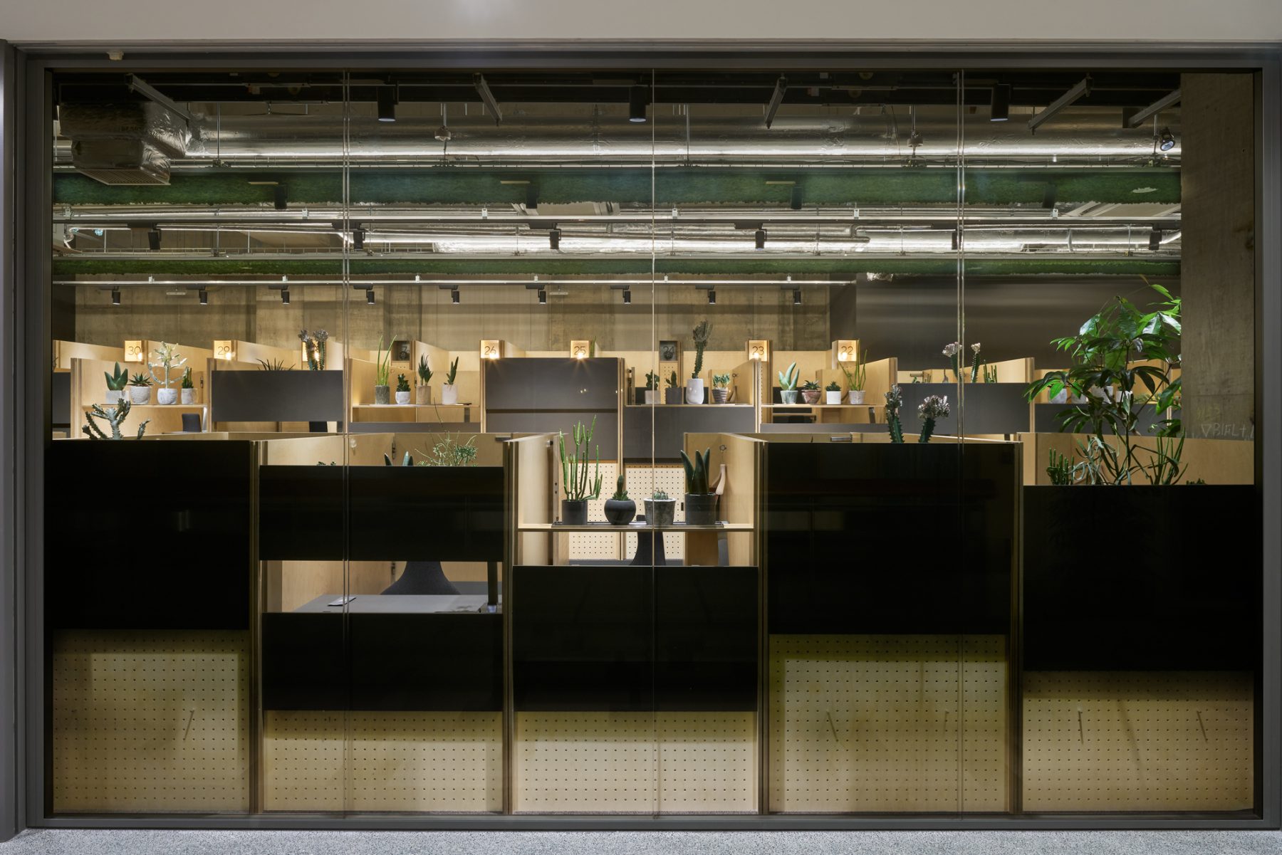 丨日本东京丨Jo Nagasaka,Schemata Architects-2