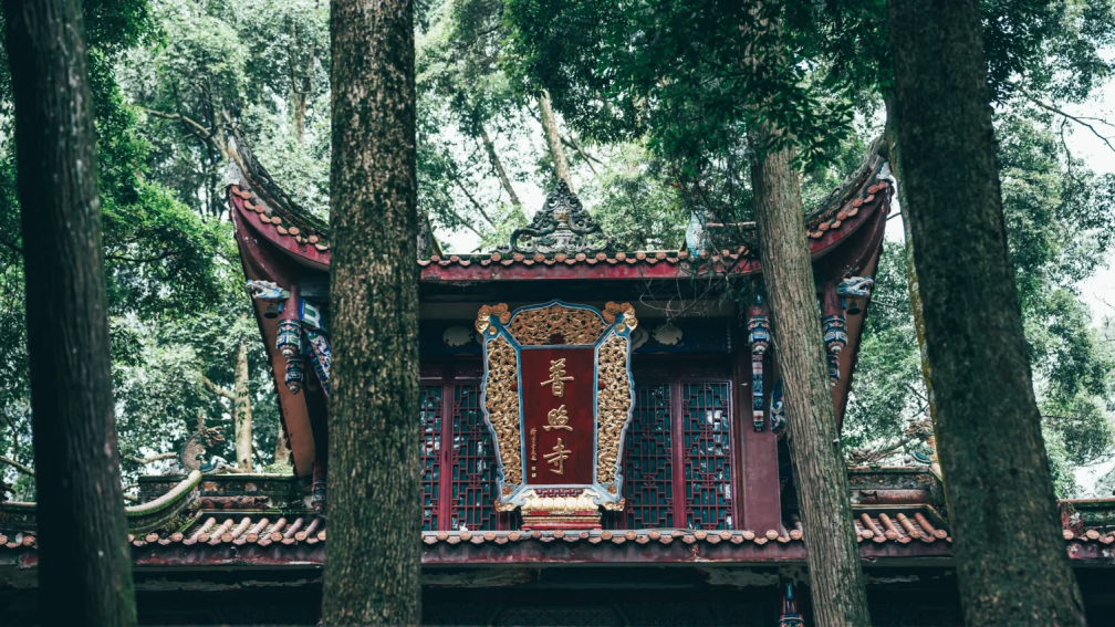 思纳设计|隐于青城山内的禅意新生-9