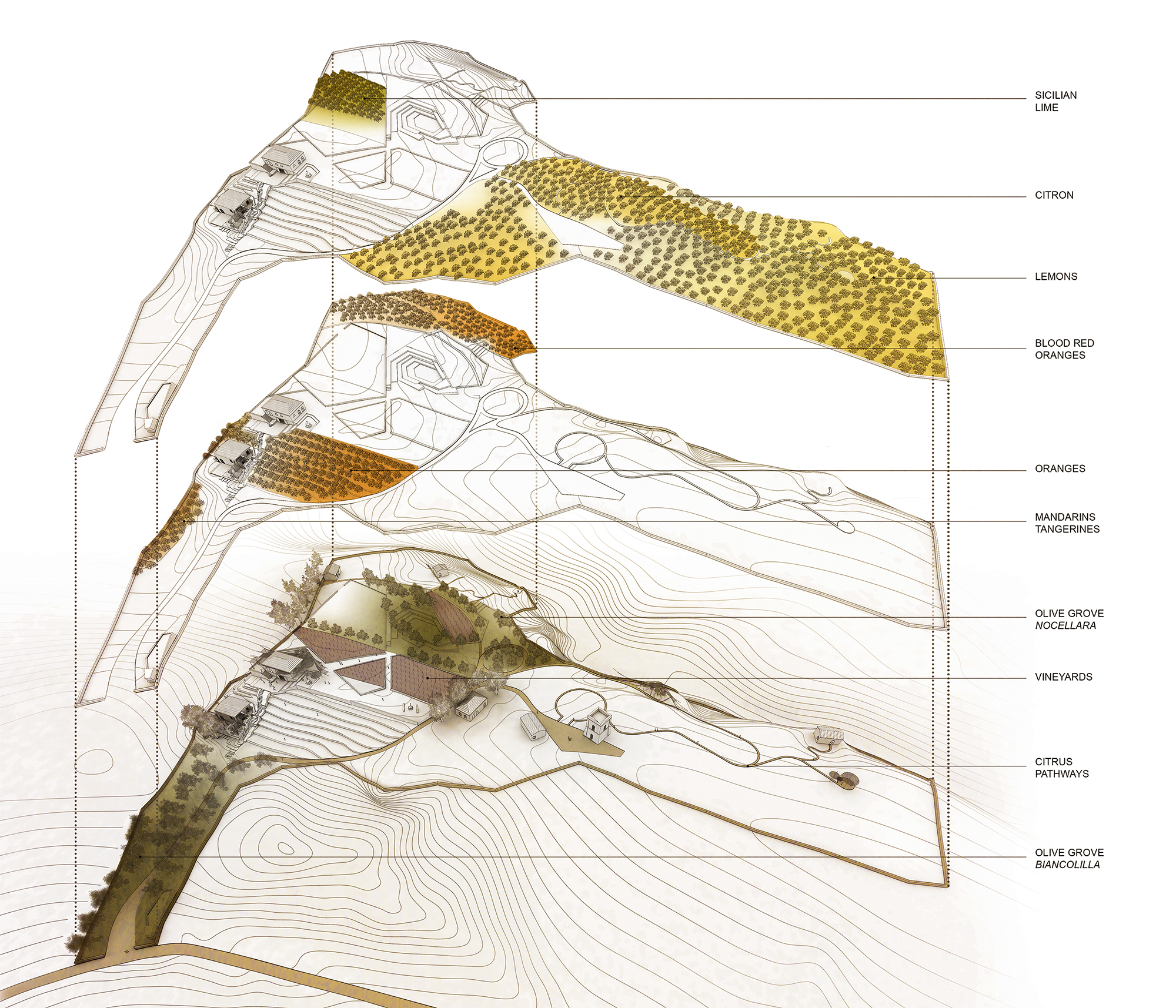 柑橘山丨意大利卡塔尼亚丨Matteo Cainer Architecture-20