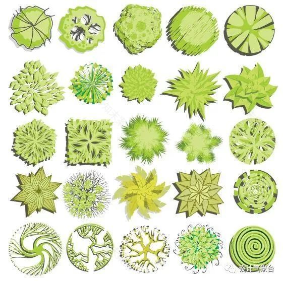 青春系彩平植物素材-47