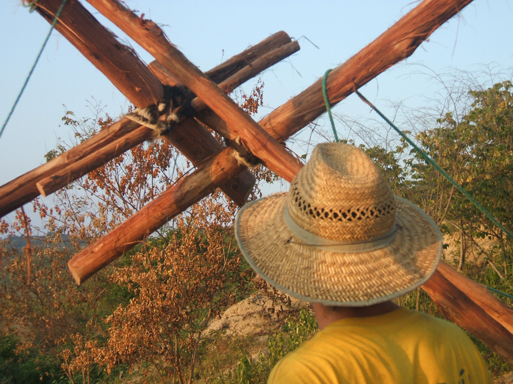 新希望学校的室内设计魅力-20