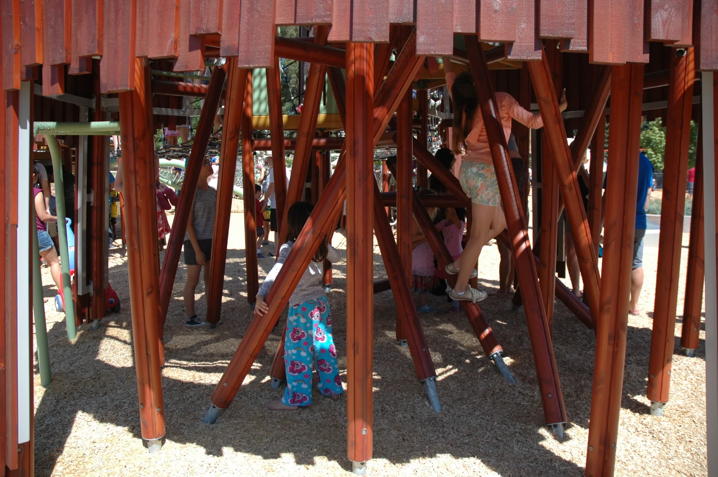 贝雷斯福德儿童公园 Beresford Park by Miller Company-9