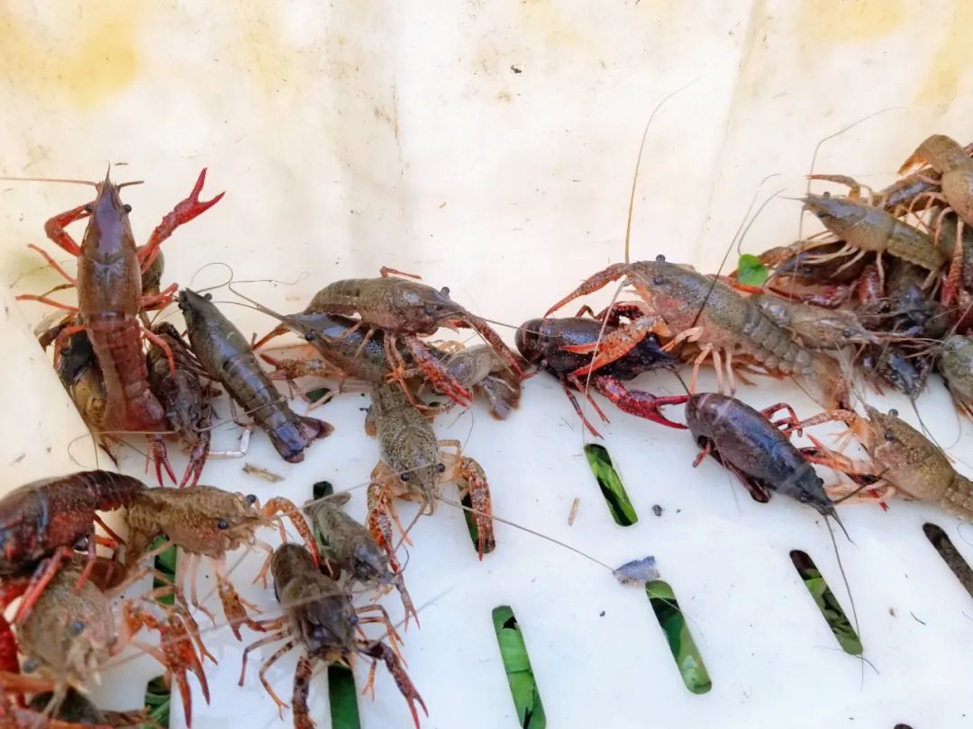 品东装饰户外团建活动 | 快乐工作，健康生活-15