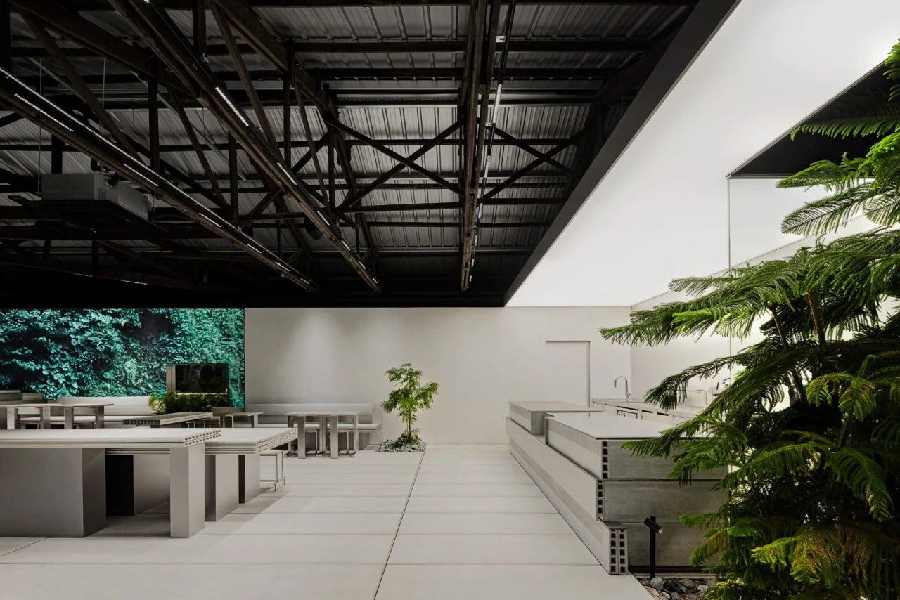 温亚德 南阳州丨韩国杨州市丨The First Penguin-53