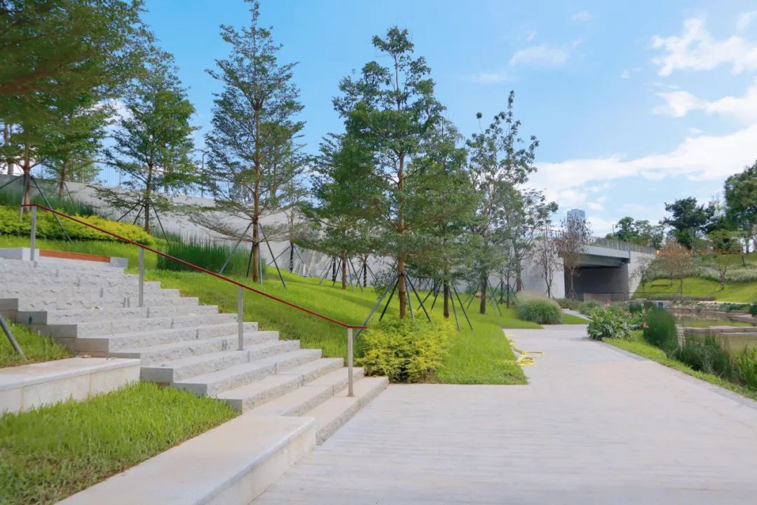 东莞国际商务区市政配套设施景观丨中国东莞丨文科园林-7