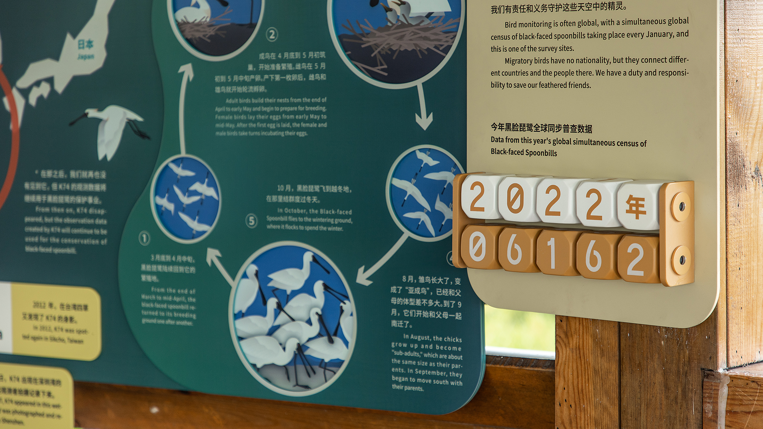 深圳红树林生态公园户外科普互动导视设计丨中国深圳丨共生领域(北京)文化传媒有限公司-52