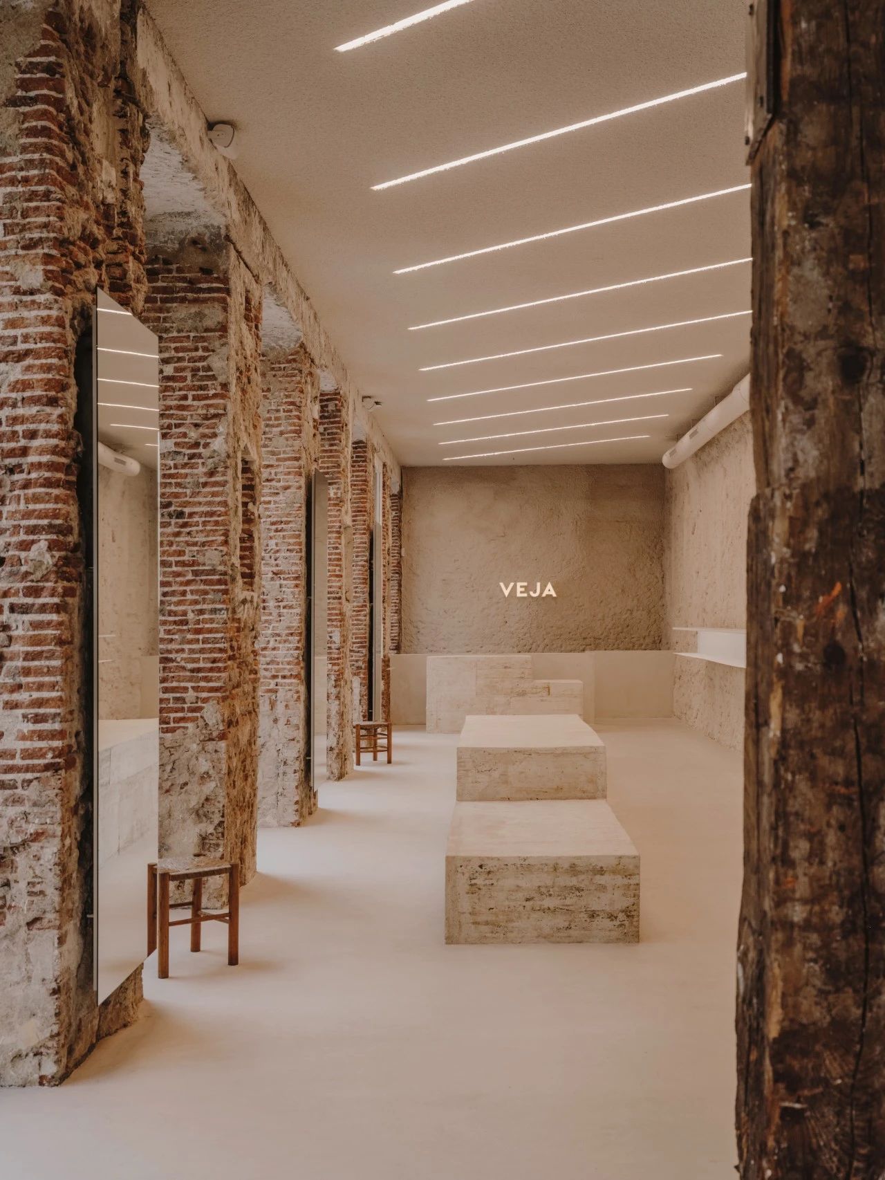 PLANTEA｜新的生命力-34