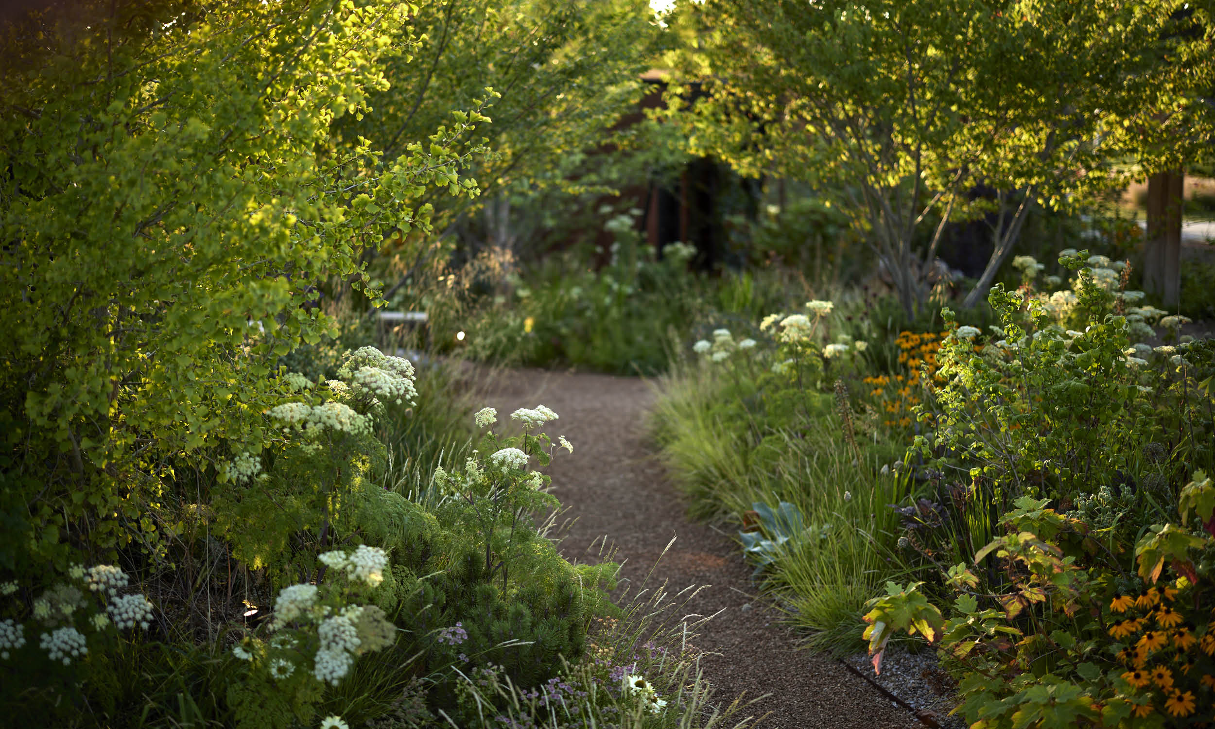 荷兰世园会  自然之境丨荷兰阿尔梅勒丨Stefano Marinaz景观公司（SMLA）-49