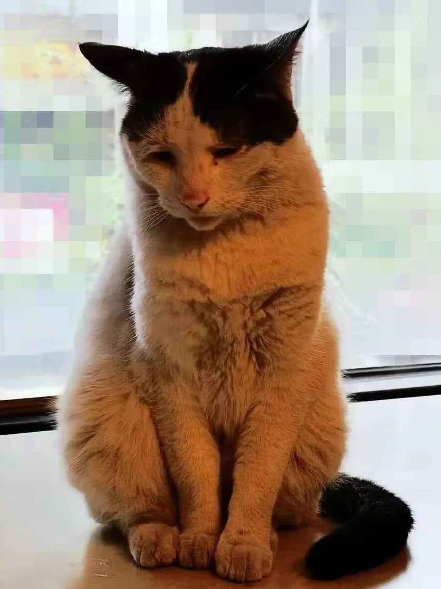 海力设计公司丨中国重庆-13