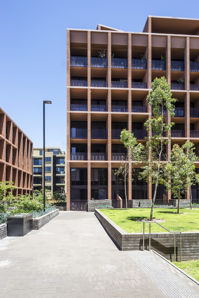 阿灵顿格罗夫-31