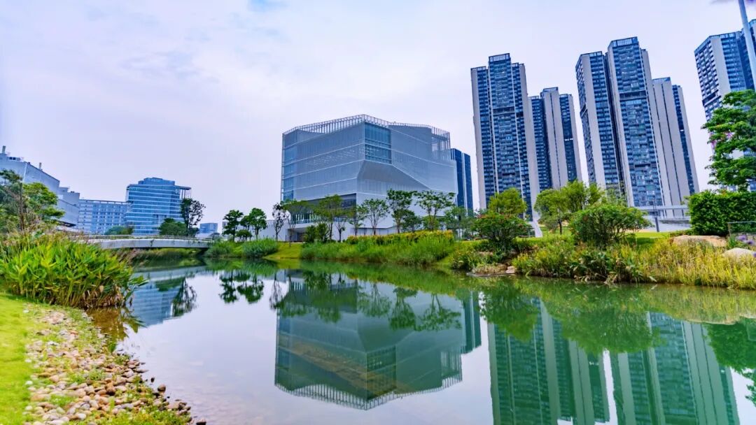 精益德才|深圳理工大学图书馆—为明日思想，筑探索之境-39