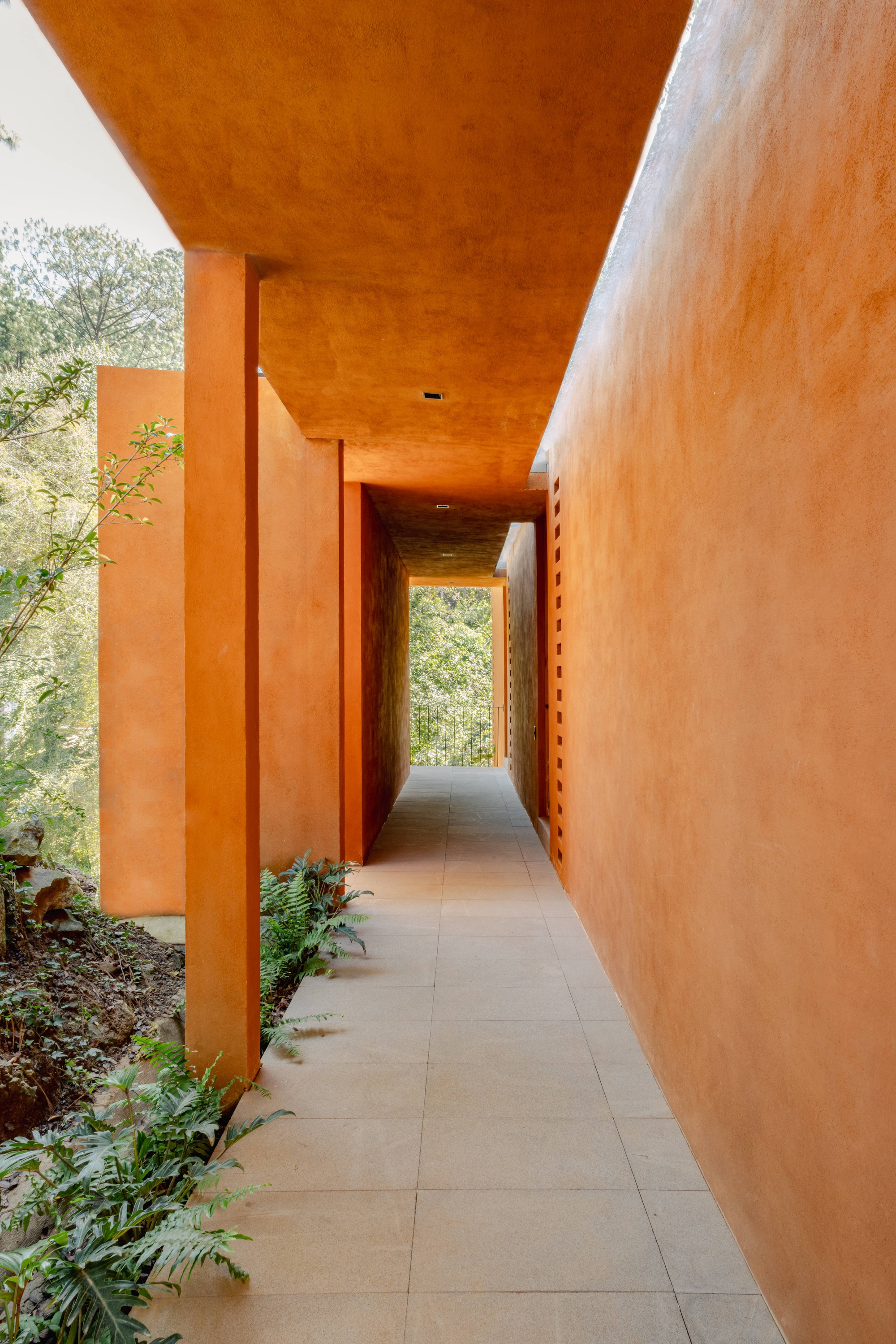 弗隆达尔宅邸丨墨西哥丨Taller MRD-24