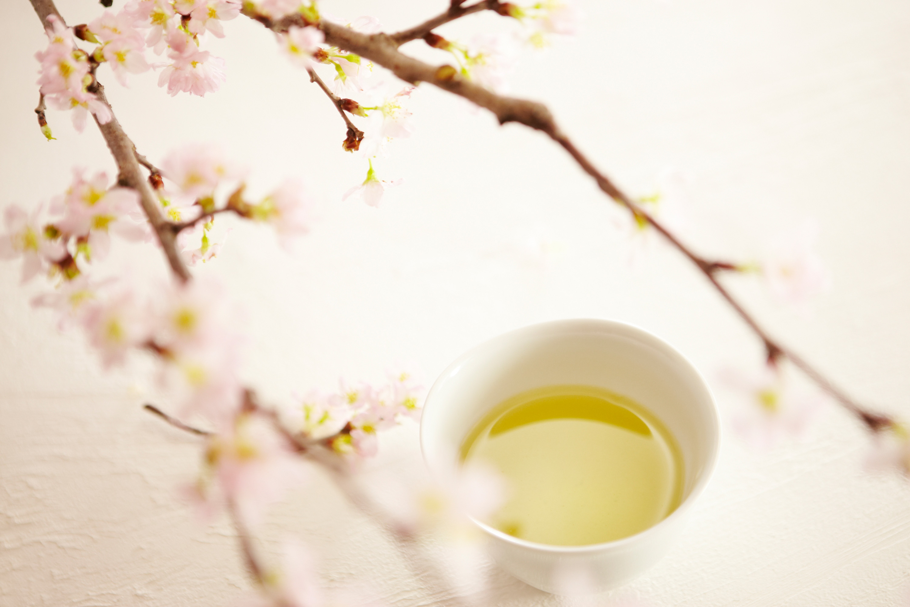 东京柏悦酒店官方摄影-29